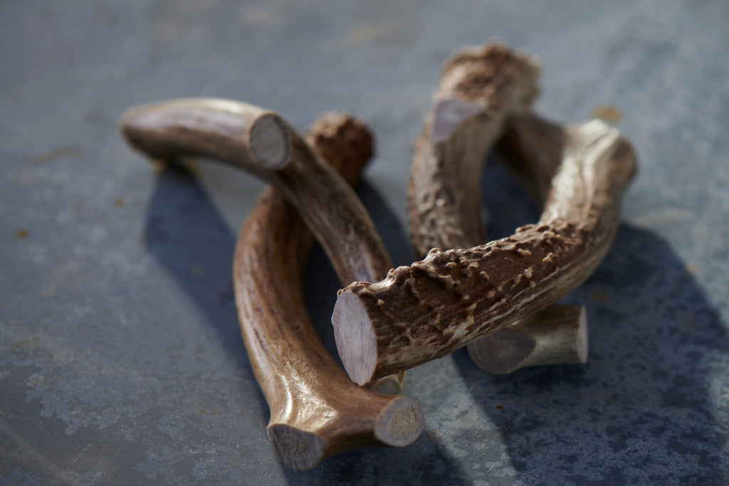 Deer Antler Chews