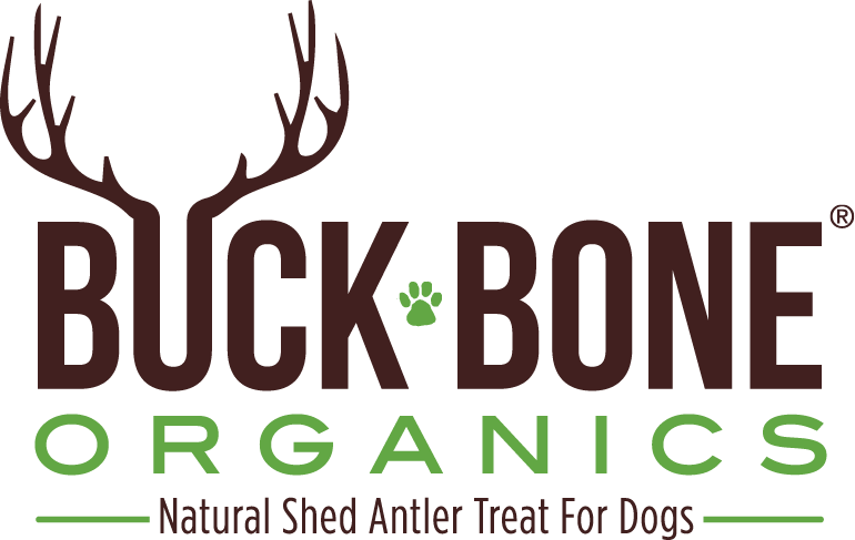 Nature's perfect eco-friendly, Top Grade-A Quality Elk Antler Dog Chews that are All Natural, Organic, Gluten Free, and Odorless.