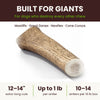 Giant Breed Bulk Box of extra-long 12 to 14 inch elk antlers for Mastiffs, Great Danes, Newfies and Cane Corsos