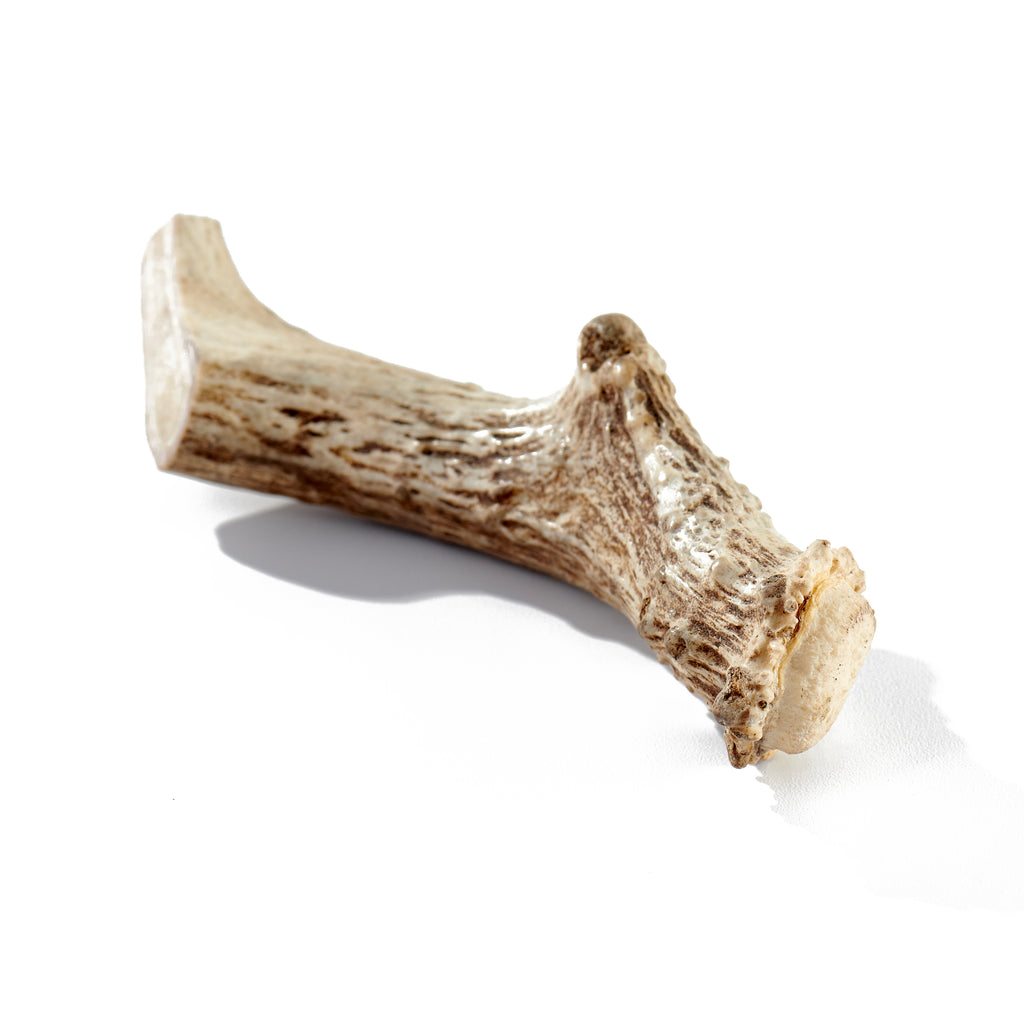 Deer Antler Dog Chew Jumbo Buck Bone