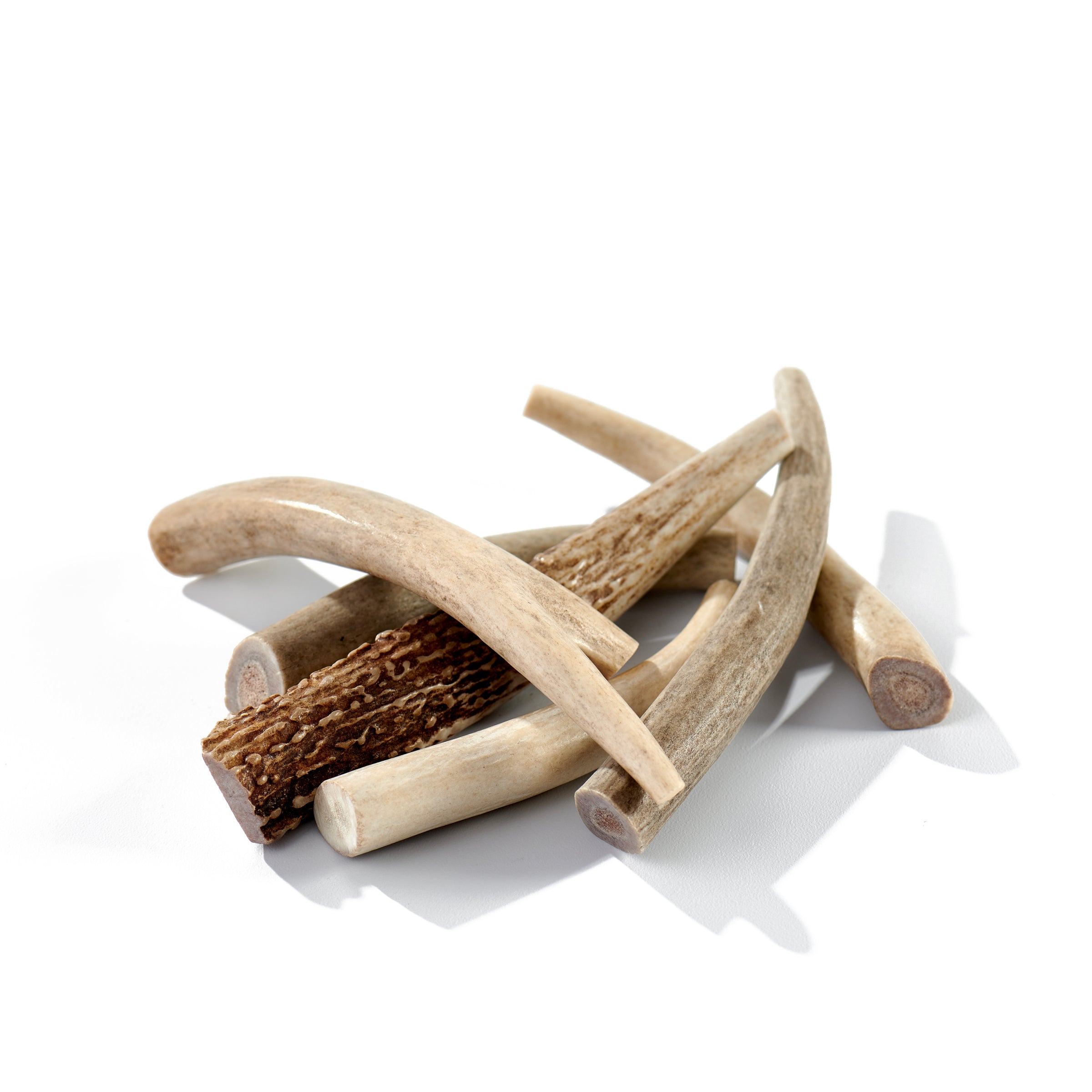 6-Pack Medium Deer Antler Dog Chews – All-Natural, Long-Lasting, For All Dog Breeds