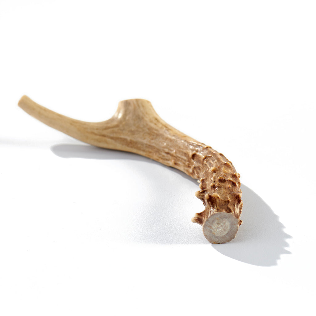 Medium Deer Antler Dog Bone